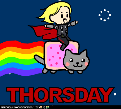 Thor-cat GIFs - Get the best GIF on GIPHY