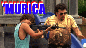 Usa Shooting GIF