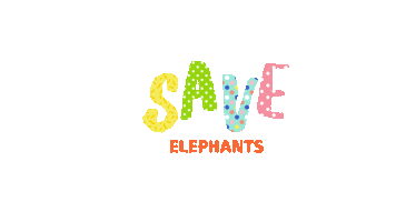Elephants Save Sticker by Elephant Parade