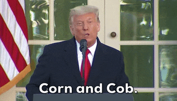 Donald Trump Thanksgiving GIF by GIPHY News