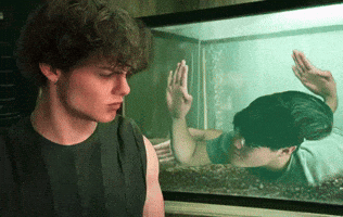 The Boys Fishtank GIF