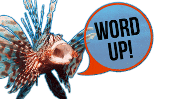 OCEANREEF Sticker