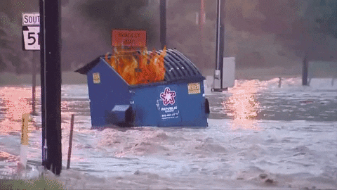 Dumpster Fire GIF by MOODMAN - Find & Share on GIPHY