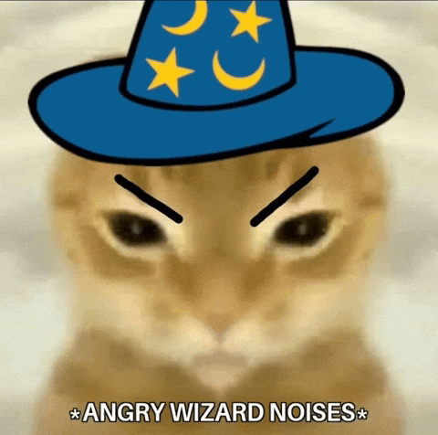 Wizard Silly Cat GIF