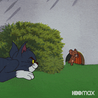 Tom And Jerry Love GIF by HBO Max