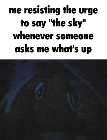 Whats Up GIF