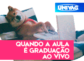 UNIVAG Sticker