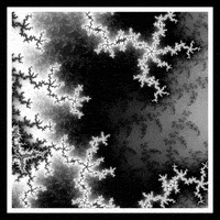 Loop Nft GIF by xponentialdesign