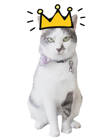 Kelseyandryan Sticker by The Newbuild Newlyweds