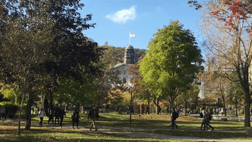 montreal GIF by McGill University