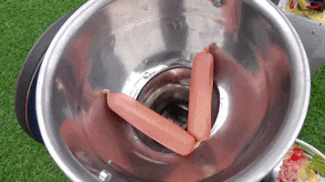 ExperimenMeatGrinder funny meat experiment grinder GIF