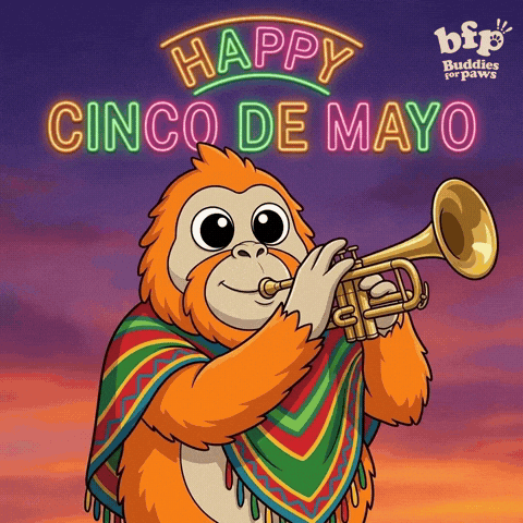 Performing Cinco De Mayo GIF by Buddies for Paws