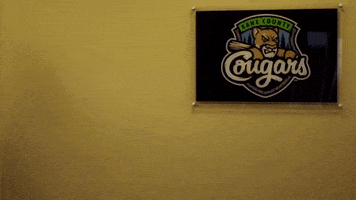 seeing double baseball GIF by Kane County Cougars