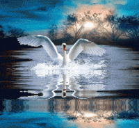 Swan Lake (movie) - Anime News Network