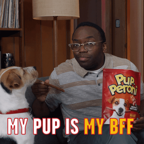 Best Friends Dog GIF by Pup-Peroni®