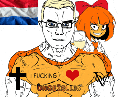 Netherlands Chad GIF