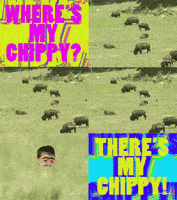 submission GIF by Tim and Eric