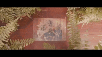 bad timing hands GIF by Polyvinyl Records