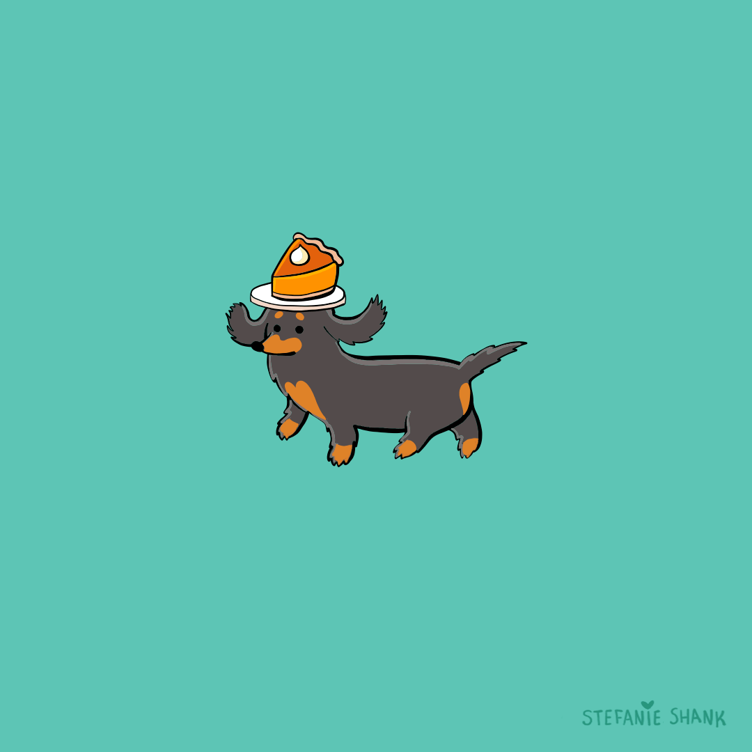 Sausage Dog Cooking GIF by Stefanie Shank Find & Share on GIPHY