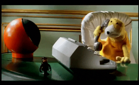 giphy.gif
