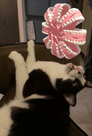 Harvey Teethwheel GIF