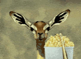 Watch Popcorn GIF