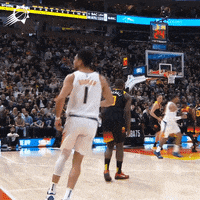 The Valley Reaction GIF by Phoenix Suns