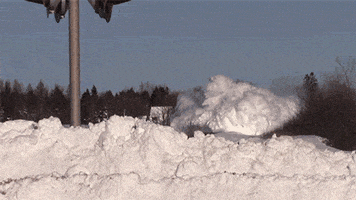 snow trains GIF by Digg