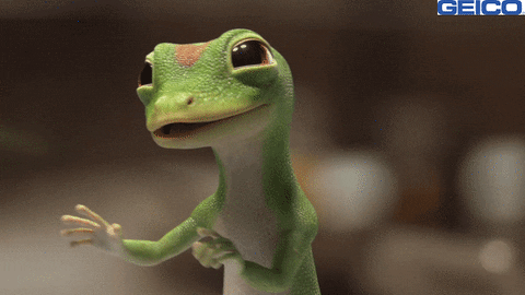 Geico GIFs - Find & Share on GIPHY