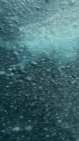 Music Video Camera GIF by Ed Sheeran