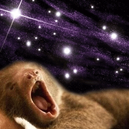 space sloth GIF by omgslothsinspace