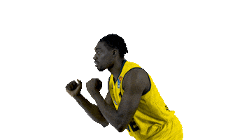 Sticker by EWE Baskets Oldenburg