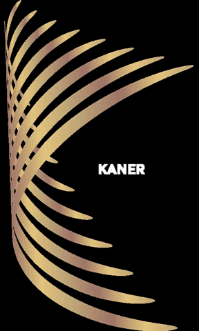 kanerbrandhouse GIF