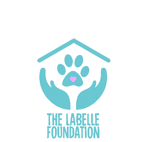 Sticker by LabelleFoundation