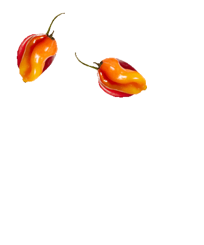 Grace Foods UK Sticker