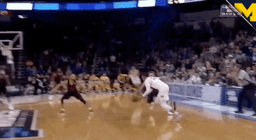 Excited College Basketball GIF by Michigan Athletics