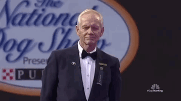 200.gif?cid=fc005b080f10a34d5ce67c40c600ac227c986b98220af4d2&rid=200.gif&ct=g