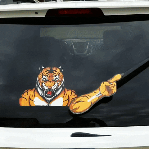 team tailgating GIF by WiperTags