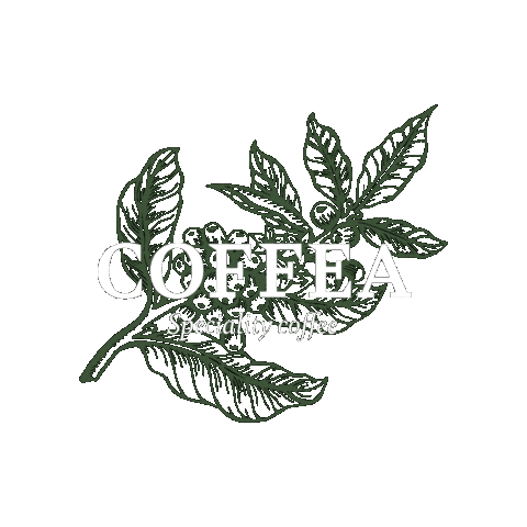 Coffea Sticker