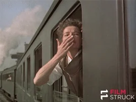 criterion collection goodbye GIF by FilmStruck
