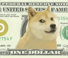 Doge Coin Gifs Get The Best Gif On Giphy