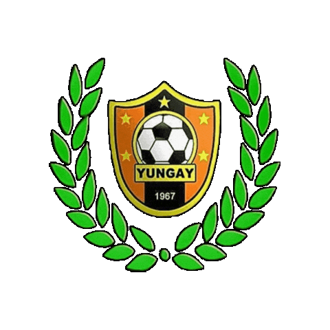 Futbolsanjavier Sticker