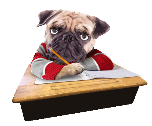 tired back to school Sticker by Chris Timmons