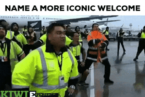 New Zealand Culture GIF by KiwiExperience