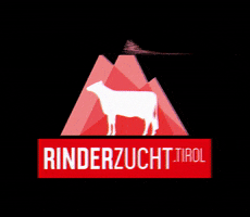 Rinderzucht Tirol GIF