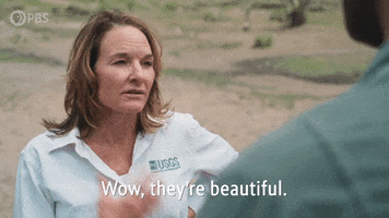 Theyre Beautiful Episode 1 GIF by PBS