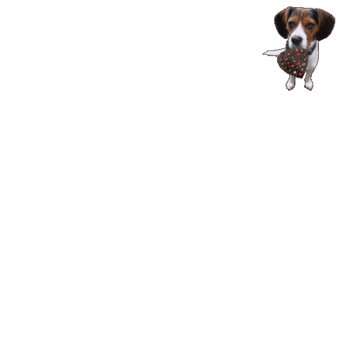 Pet Sticker