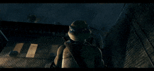 Teenage Mutant Ninja Turtles Leo GIF