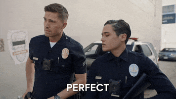 The Rookie Police GIF by ABC Network