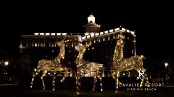 Travel Luxury GIF by Cavalier Resort Virginia Beach